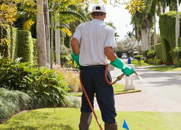 About Waianae HI Pest Control